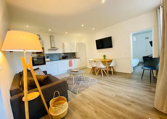Hyper-Centre Lille - Appartement 65M2